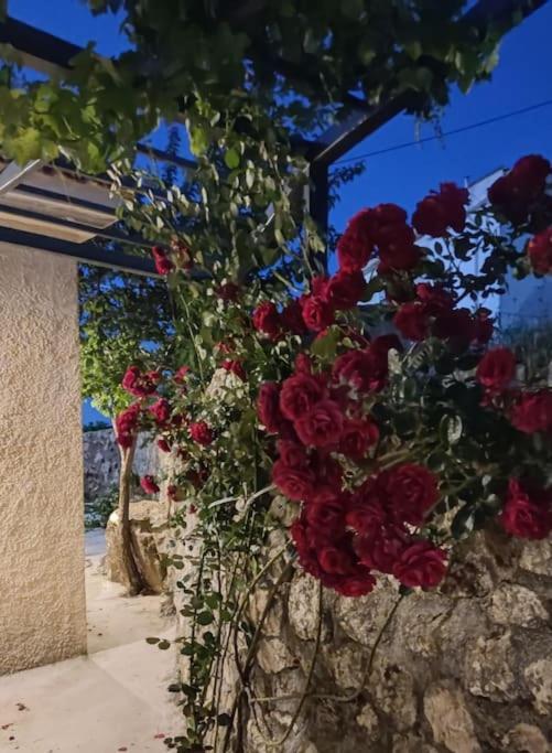 Villa Aiolia Kondoyenádha Exterior photo